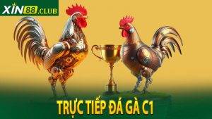 Trực Tiếp Đá Gà C1